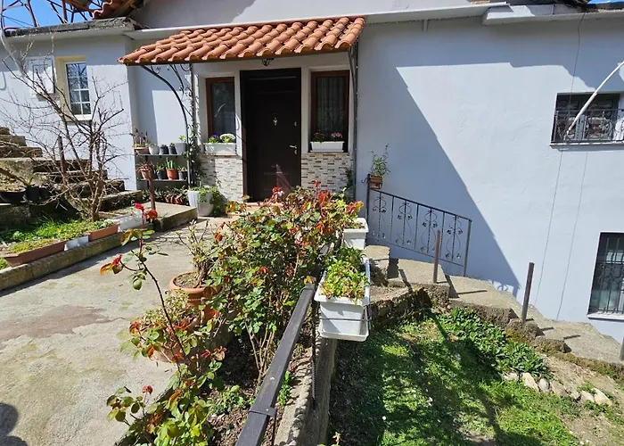 Guri Imperium Willa Krujë